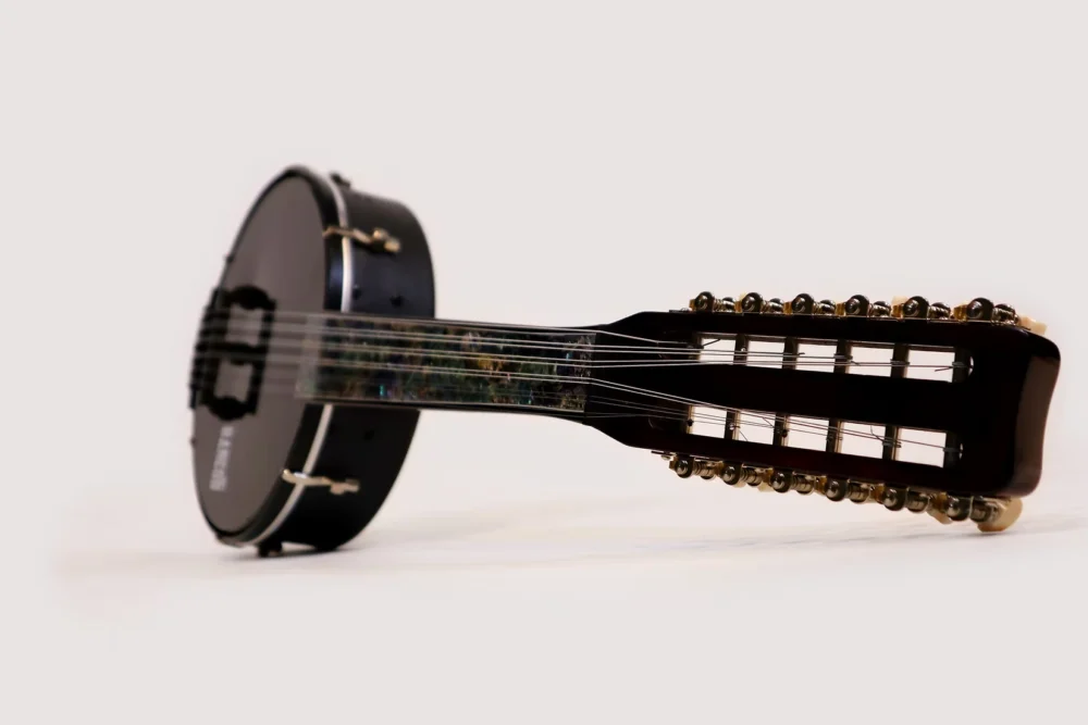 Banjo Custom Fretless 11 Cords (Avance 50% par Virement)
