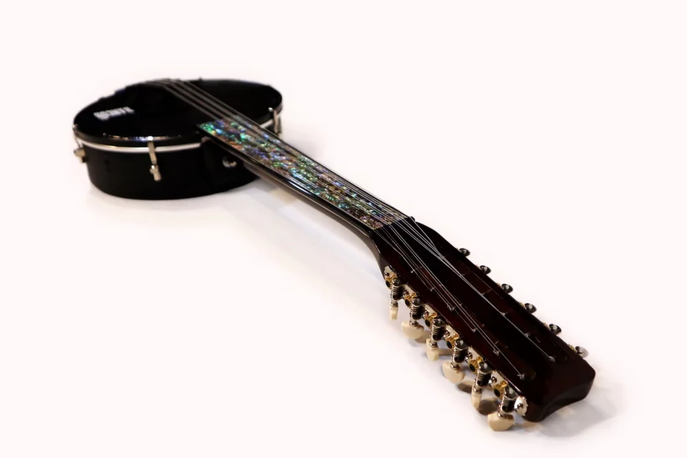 Banjo Custom Fretless 11 Cords (Avance 50% par Virement) – Image 2