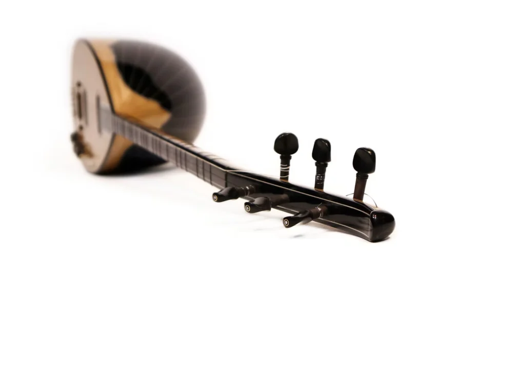 Saz Ebony Electric X (Avance 30% par Virement) – Image 2