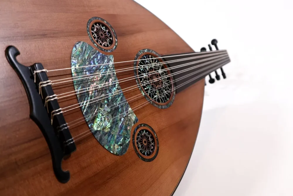 Oud Pro Legacy Stage (Avance 30% par Virement) – Image 2