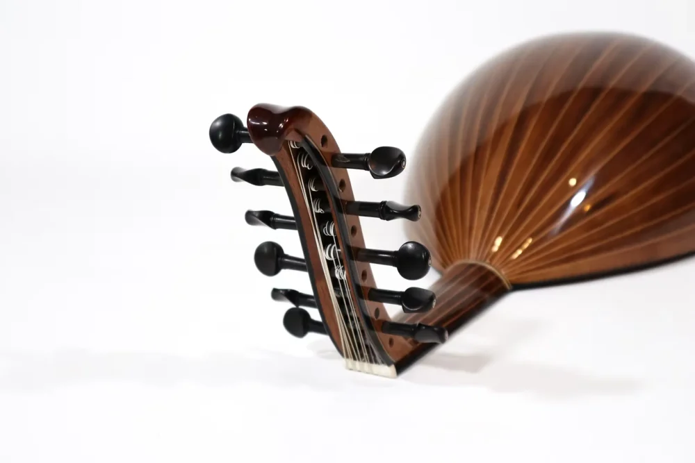 Oud Pro Legacy Stage (Avance 30% par Virement) – Image 3