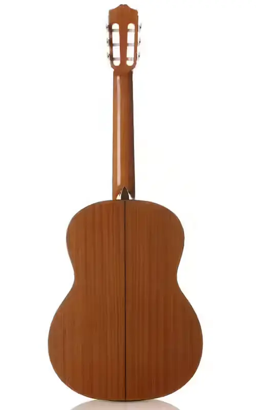 Guitare Cordoba C5 Iberia CD – Image 2